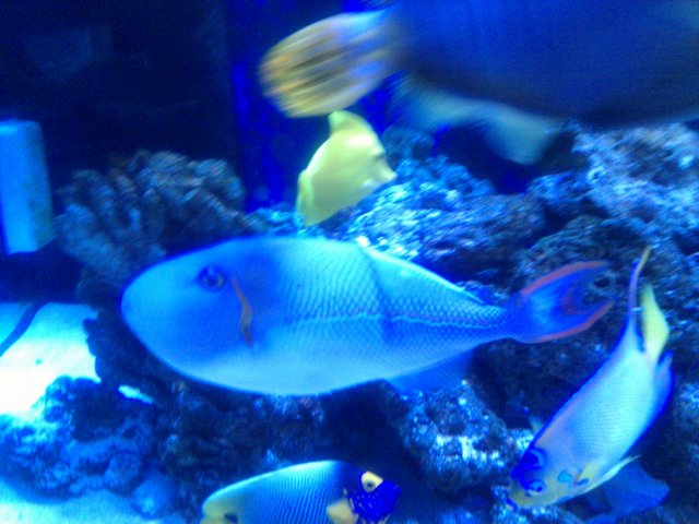 IMG_20101218_105730.jpg