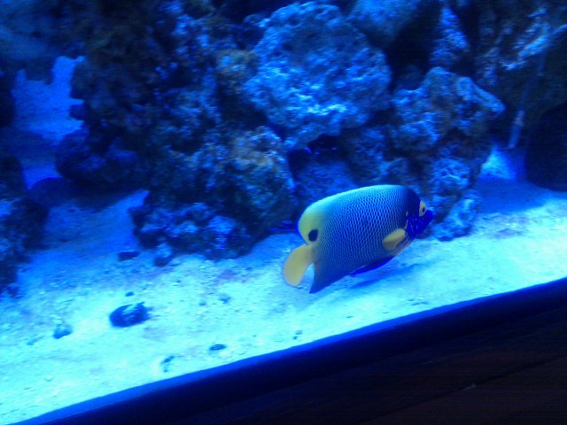 IMG_20101218_105735.jpg