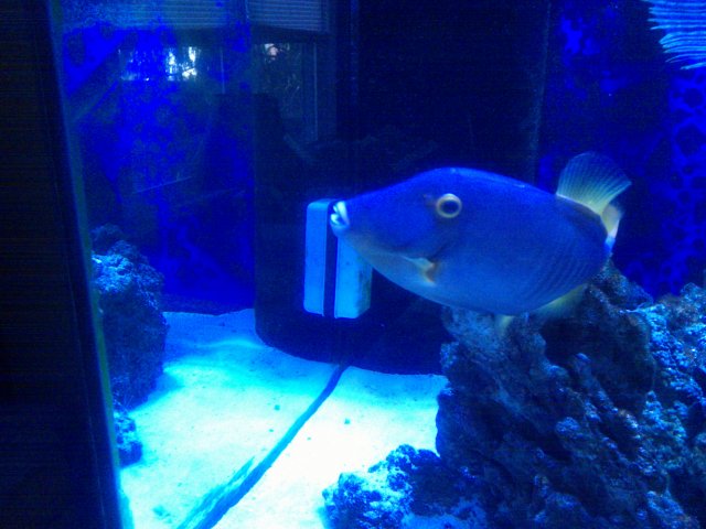 IMG_20101218_105748.jpg