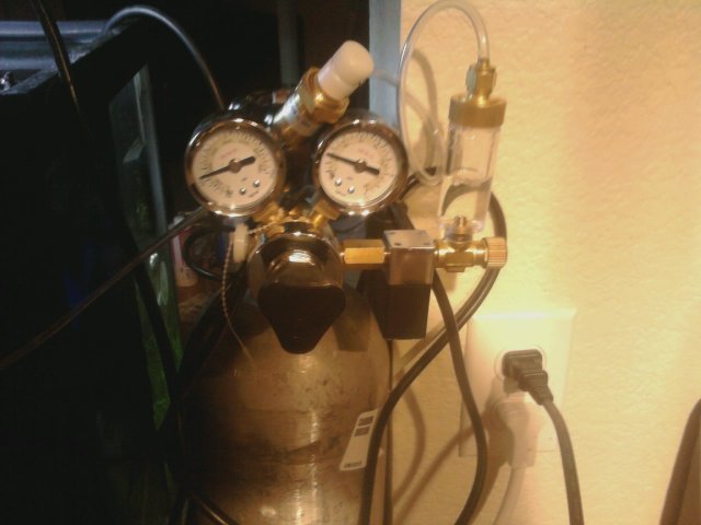 mms_picture_2 (1).jpg mms_picture_2 (1).jpg
