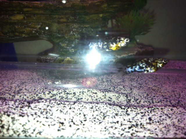 photo5.JPG