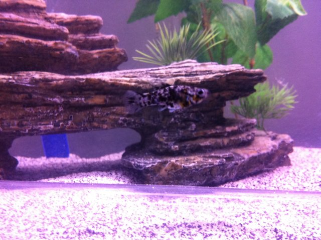 photo12.JPG
