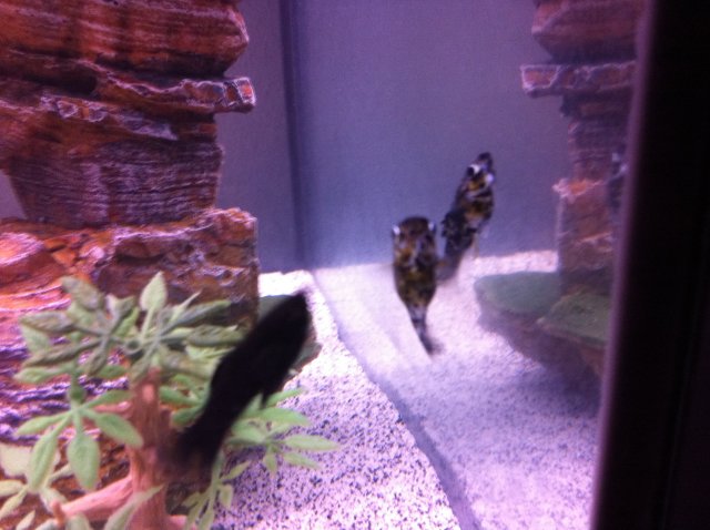 photo17.JPG