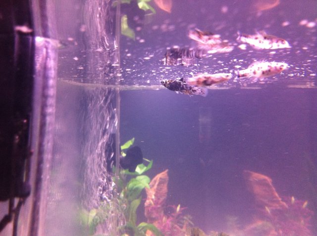photo15.JPG