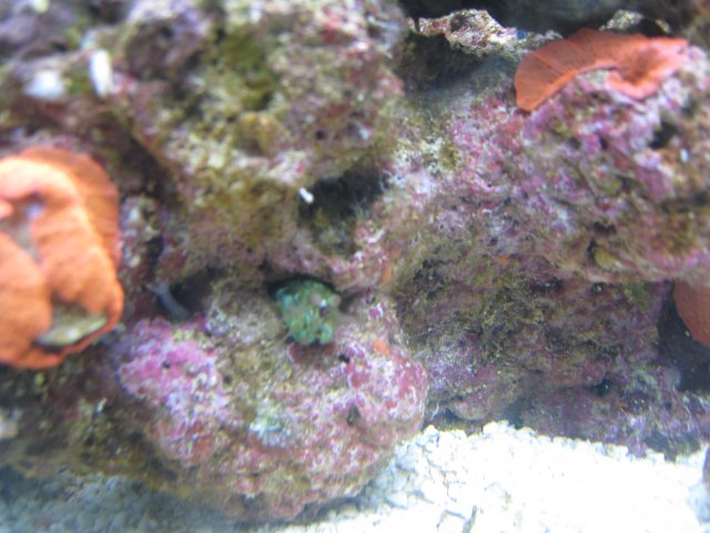 IMG_2981.JPG