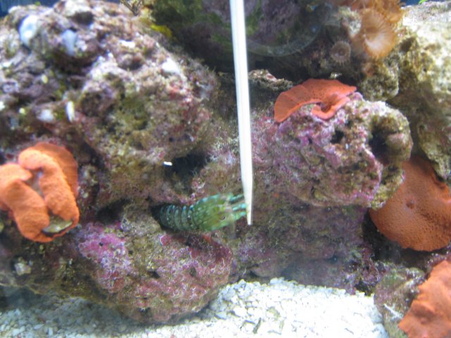 IMG_2982.JPG