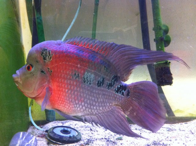 photo-3.JPG