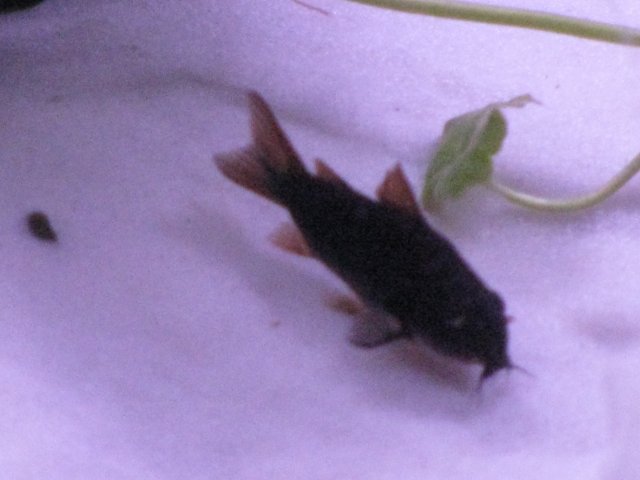 IMG_2879.JPG