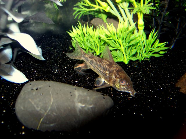 100_2911.JPG