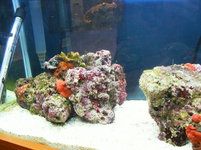 SDC17575.JPG SDC17575.JPG
