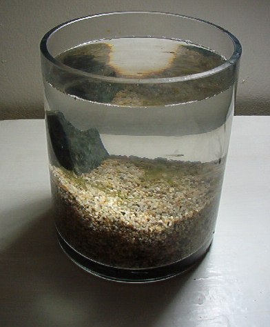 im000093 (Modified).jpg im000093 (Modified).jpg