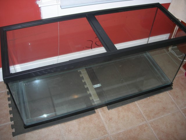 DSCN4247.JPG