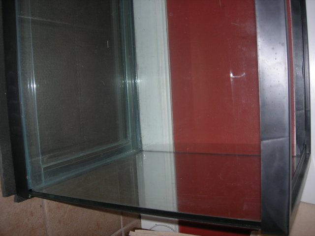 DSCN4250.JPG