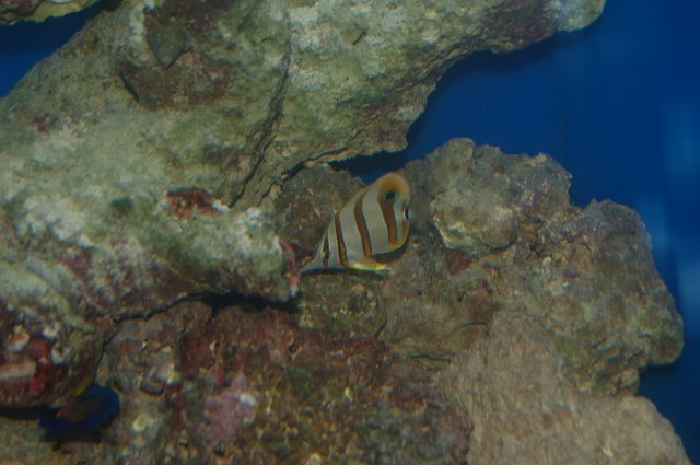 008.JPG 008.JPG