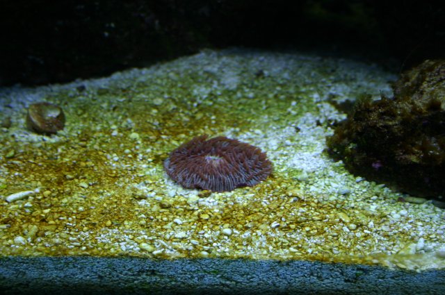 IMG_6602.JPG
