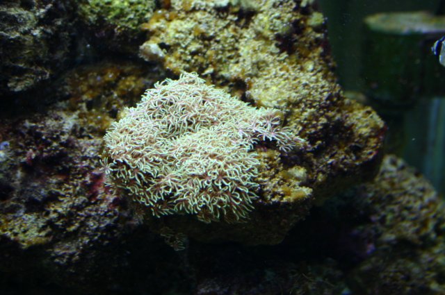 IMG_6603.JPG
