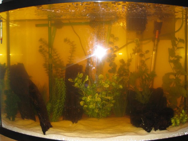 Picture 013.jpg