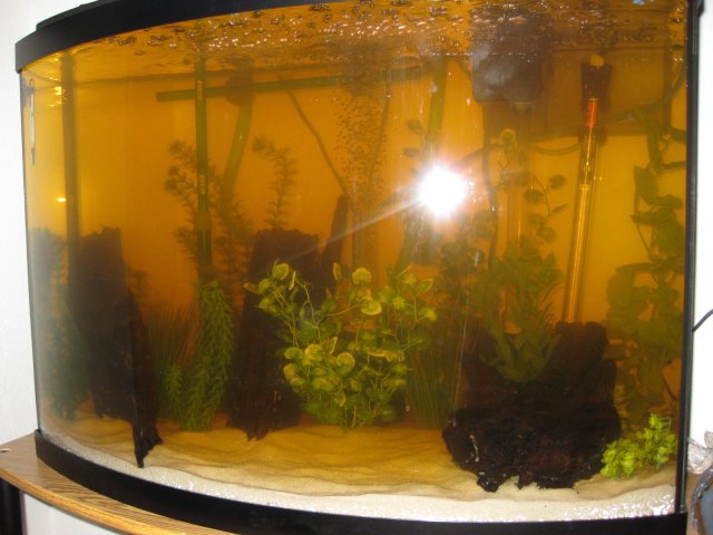 Picture 014.jpg