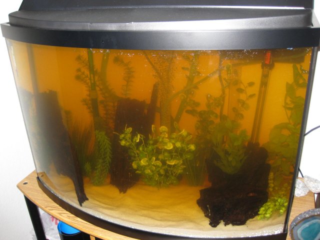 Picture 015.jpg