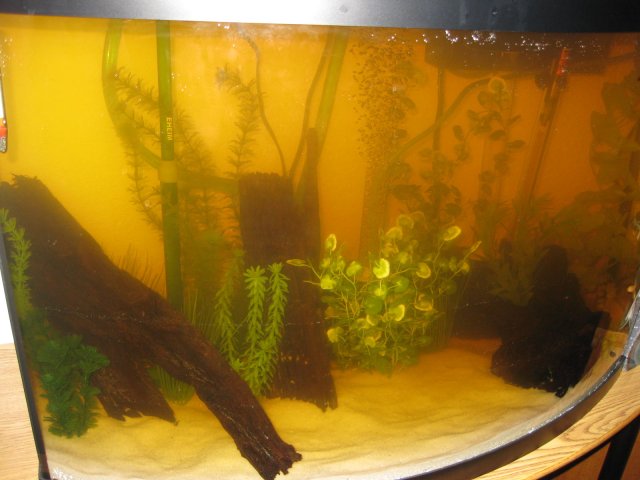 Picture 016.jpg