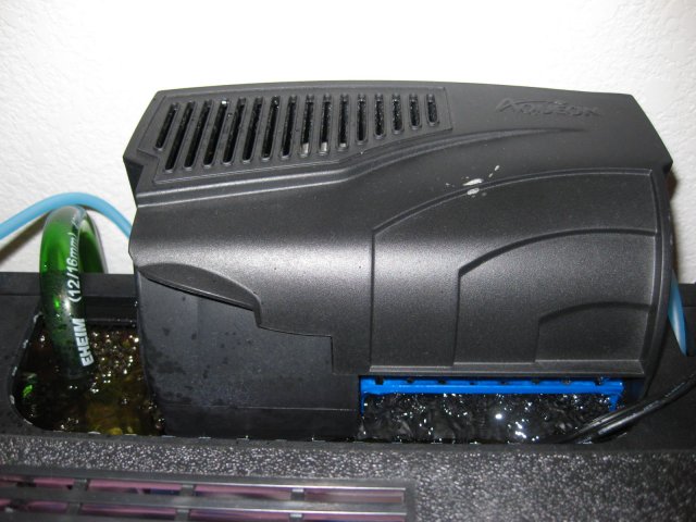 Picture 019.jpg