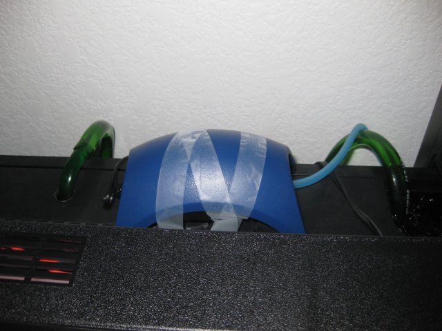 Picture 020.jpg