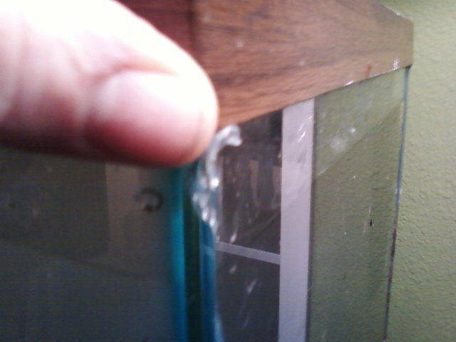 chipped.jpg