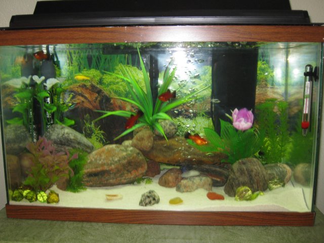 Picture 002.jpg