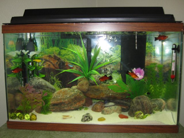 Picture 003.jpg