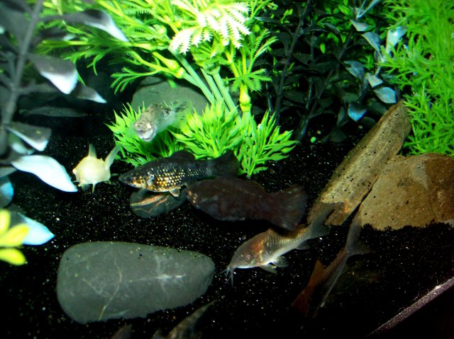 100_2963.JPG