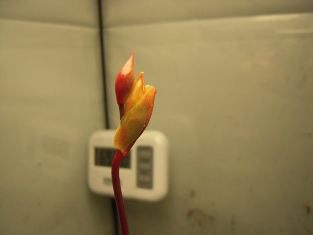 DSCN2761.JPG