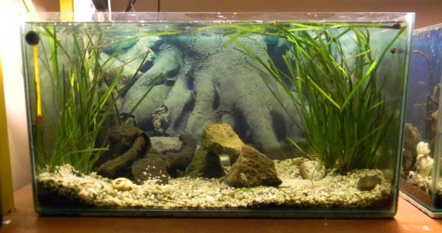 tank_02_1.jpg