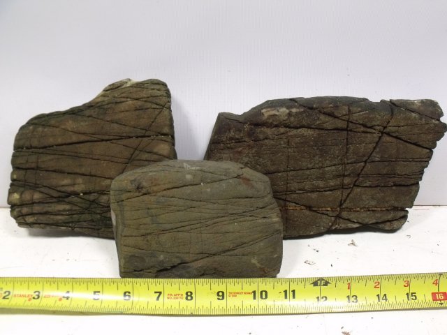 nfl-lot25.JPG nfl-lot25.JPG