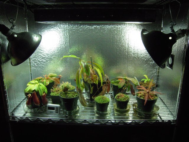 DSCN2763.JPG