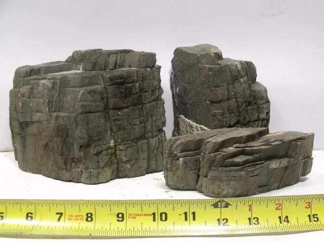 nfl-lot37.JPG nfl-lot37.JPG