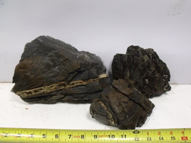 nfl-lot38.JPG nfl-lot38.JPG