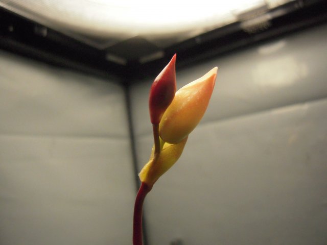 DSCN2764.JPG