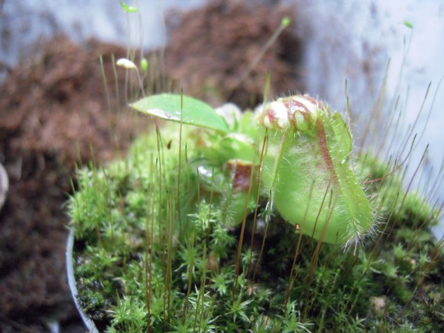 DSCN2765.JPG