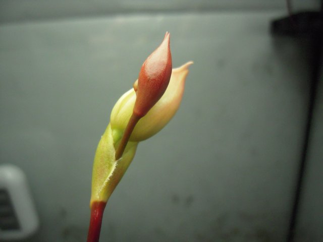 DSCN2766.JPG