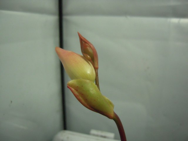 DSCN2767.JPG
