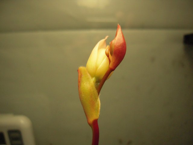 DSCN2769.JPG