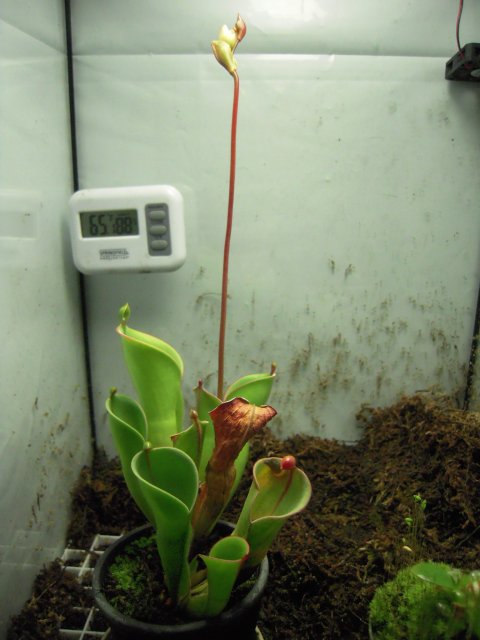 DSCN2770.JPG