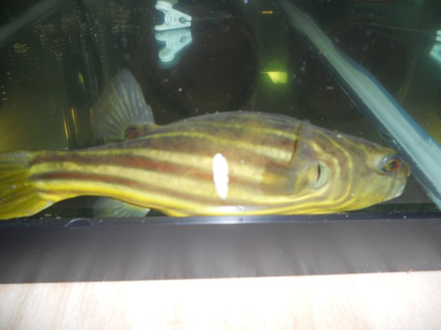 DSCN0137.JPG