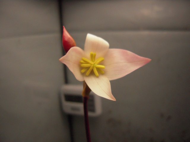 DSCN2774.JPG