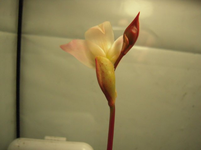 DSCN2776.JPG