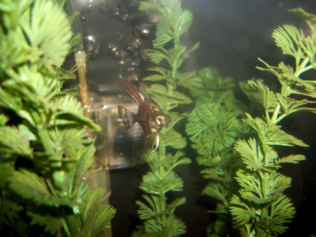 100_5896.JPG 100_5896.JPG