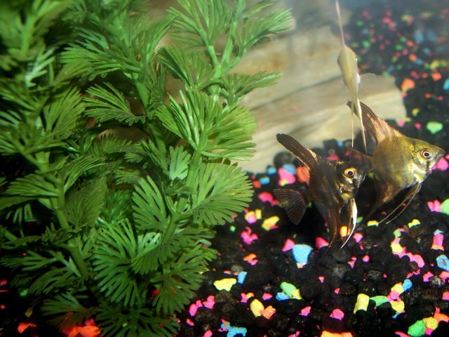 100_5710.JPG 100_5710.JPG