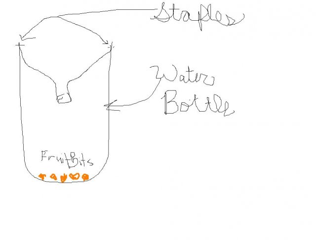 flytrap.jpg flytrap.jpg