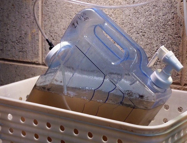 hatchery close up.jpg