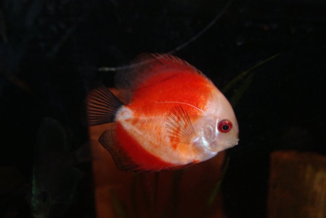 477.JPG 477.JPG